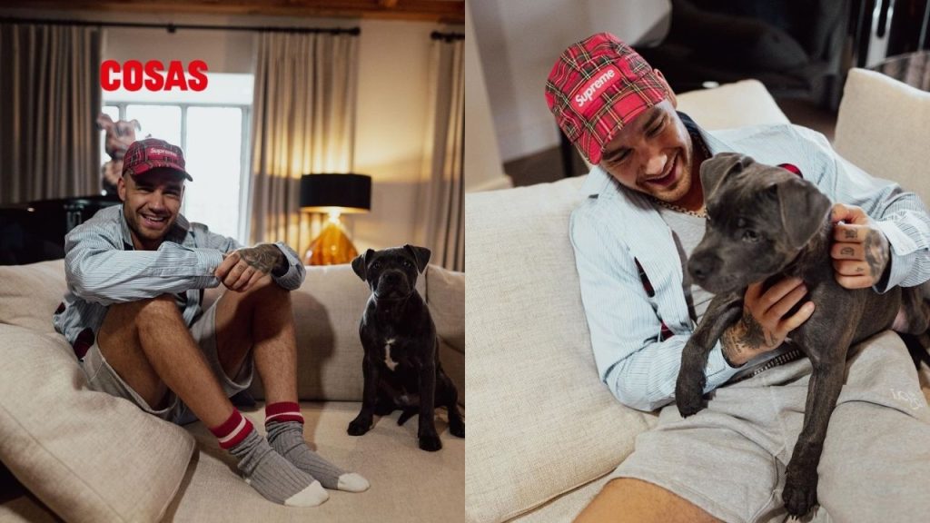 Uno de los aspectos que ha captado la atención de sus fanáticos es el destino de Stan, el perro de Liam Payne.