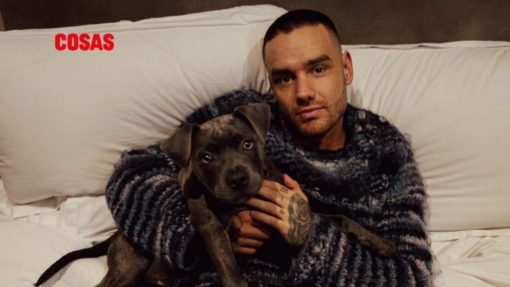 Liam Payne, exintegrante de One Direction, falleció a los 31 años tras caer del tercer piso de un hotel en Buenos Aires, según reportes.