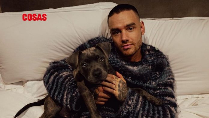 Liam Payne, exintegrante de One Direction, falleció a los 31 años tras caer del tercer piso de un hotel en Buenos Aires, según reportes.