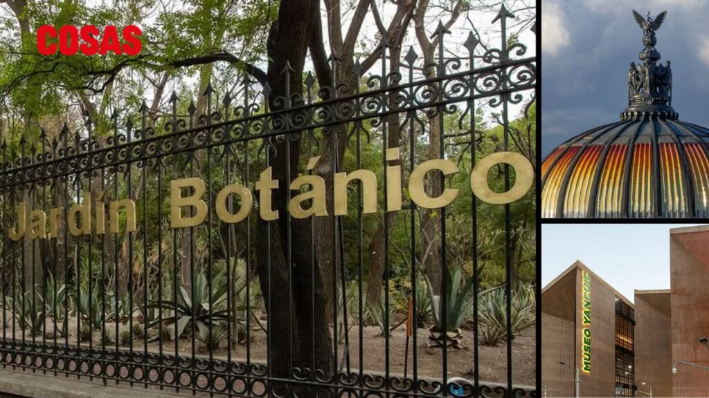 Diversión gratis en CDMX con esta guía de actividades culturales. ¡Explora como nunca sin afectar tu bolsillo!