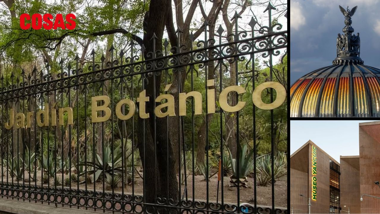 Diversión gratis en CDMX con esta guía de actividades culturales. ¡Explora como nunca sin afectar tu bolsillo!